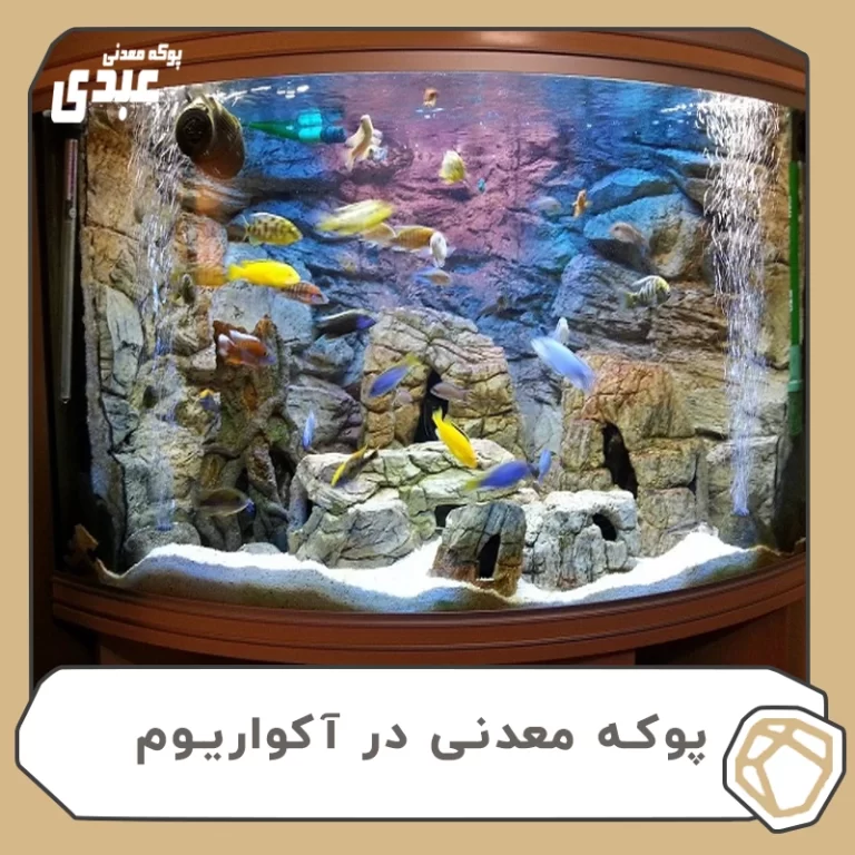 پوکه معدنی در آکواریوم